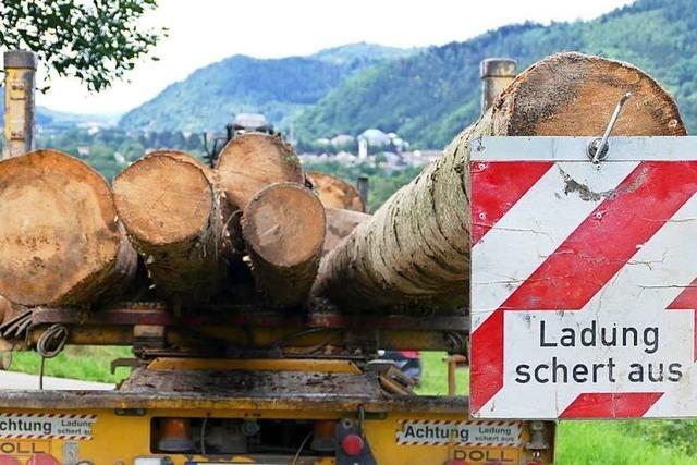 Strafpunkte sammeln beim Langholztransport: Nur noch 40 statt 44 Tonnen erlaubt