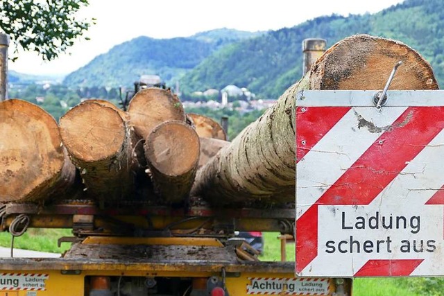 Angesichts der Borkenkferplage im Wal...n sich hier vielen Auflagen gegenber.  | Foto: Sylvia Sredniawa