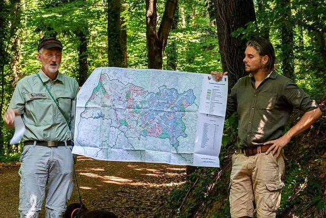 Denzlinger Schwarzwaldverein bietet Klimawanderungen an