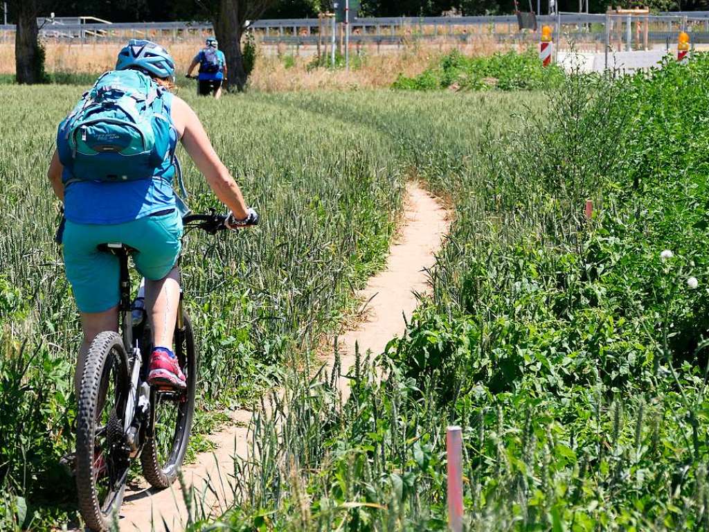 Das provisorische Teilstck, das die bisherige Verbindung ber die Felder nach Bad Krozingen zur neuen Unterfhrung leitet. Mountainbiker haben sich ihren eigenen Weg gebahnt.