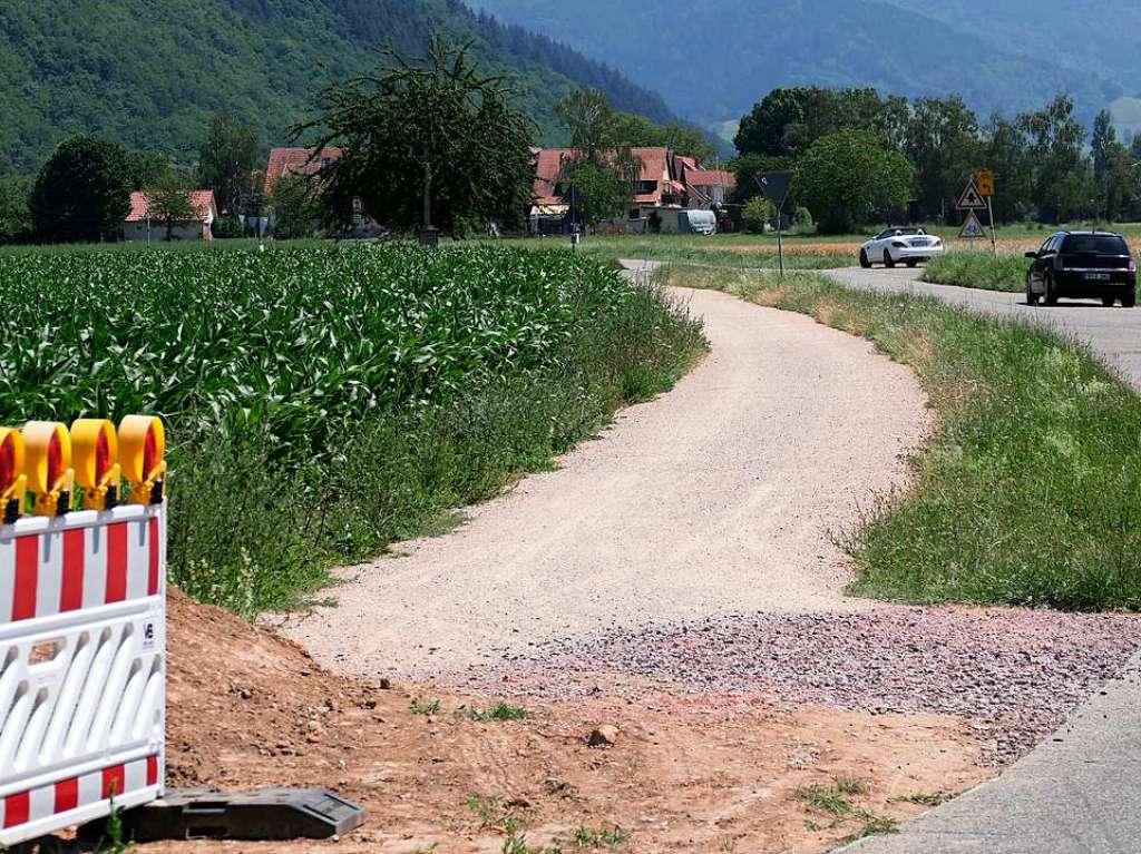 Die Stadt hat reagiert und fr einen sicheren Weg mit dem Rad von Grunern kommend entlang der Strae ein Stck Radweg hergerichtet, das am nchsten Wegkreuz in einen Wirtschaftsweg mndet, der direkt zur Schule fhrt.