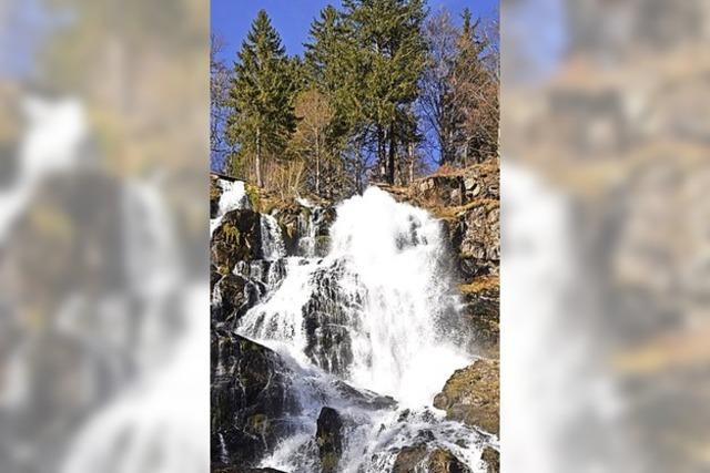 Neues von der Hngebrcke