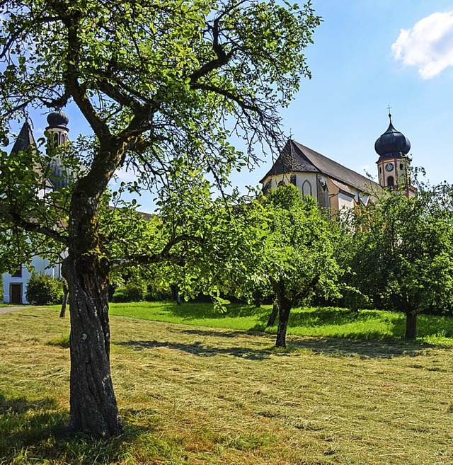 Streuobstwiese beim Kloster St. Trudpert  | Foto: Gabriele Hennicke