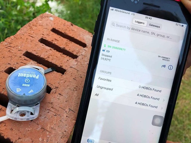 Die kleinen Sonden speichern die Tempe...mit einer Handy-App ausgelesen werden.  | Foto: privat