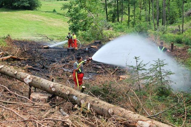 Wald- und Wiesenbrand bei Harpolingen