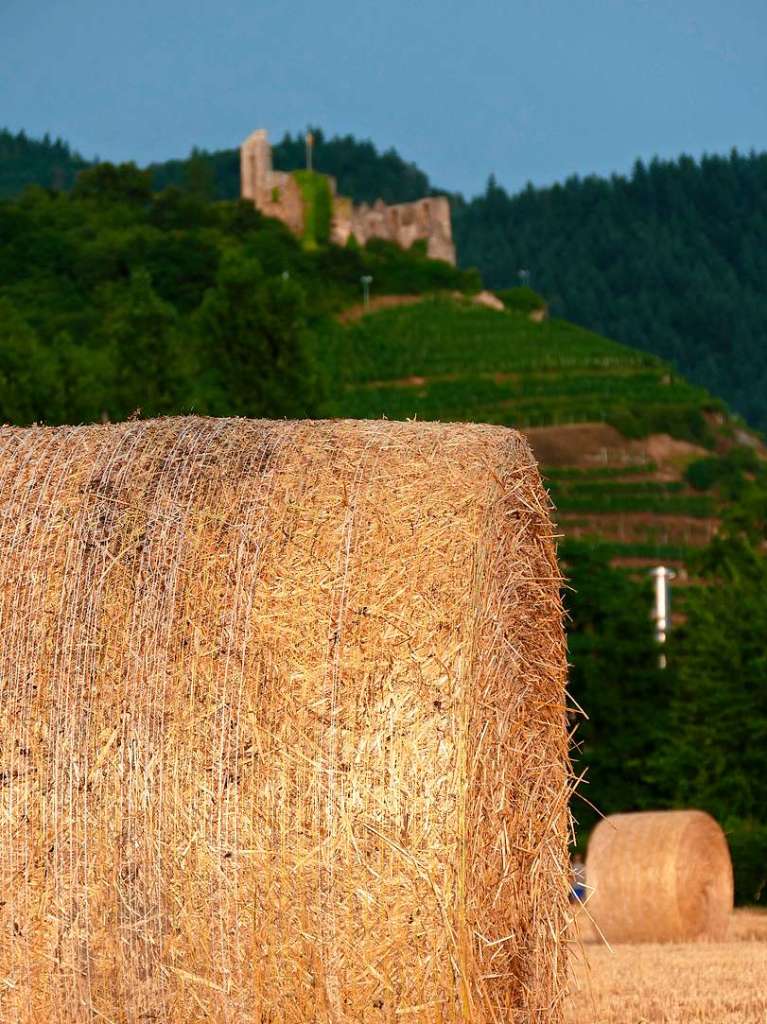 Als Hintergrundkulisse fr die Ernte