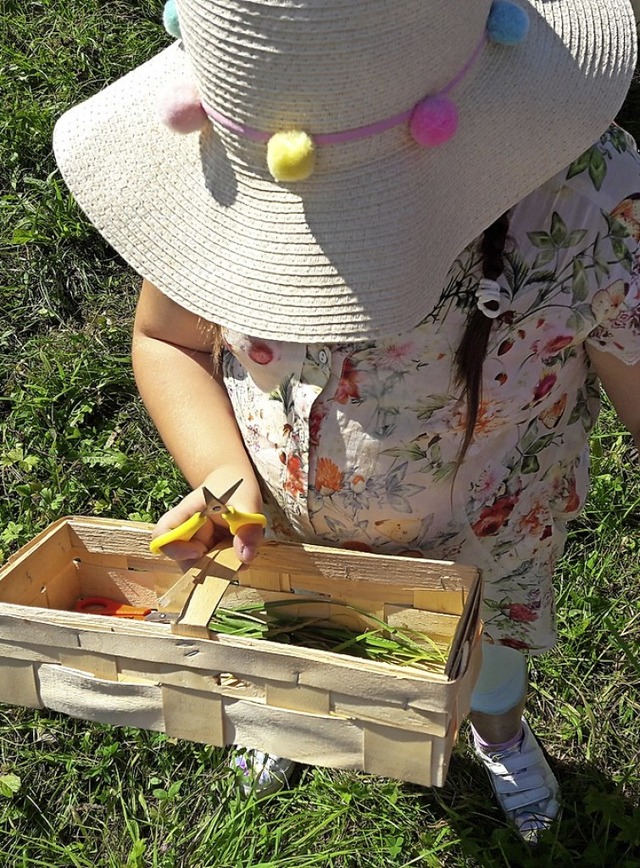 Auch in diesem Jahr wird fr Kinder viel geboten.  | Foto: Anna Uhlmann