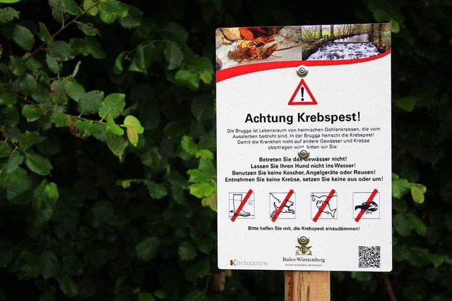 Schilder warnen vom Betreten der Brugga  | Foto: Erich Krieger