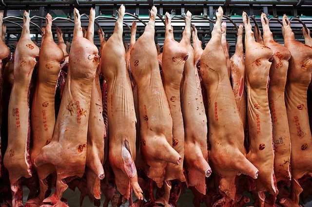 Hngende Schweinehlften  | Foto: Bernd Thissen