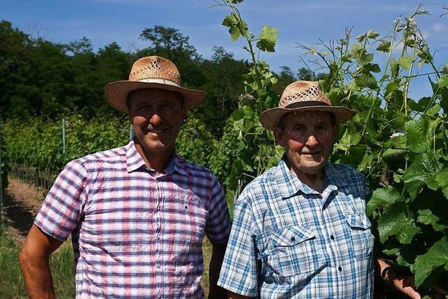 Wie sich eine Winzerfamilie dem Klimawandel anpasst