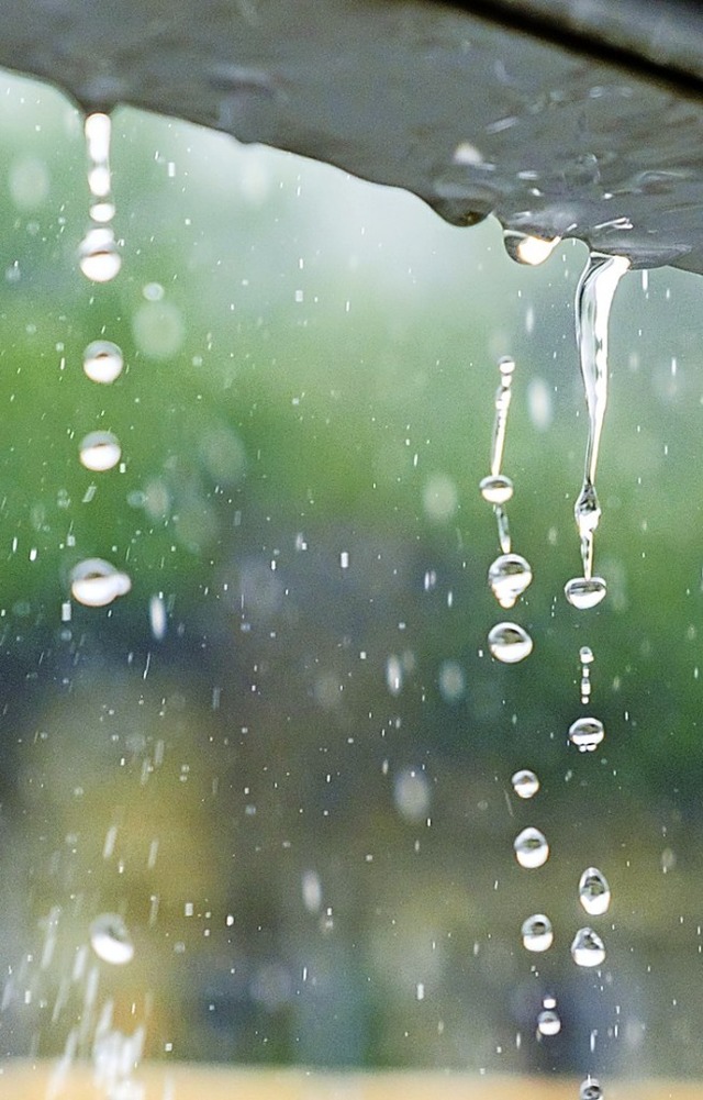 Wohin mit dem Regenwasser im knftigen Gewerbegebiet Gaisgraben III in Staufen?  | Foto: Igor Y. Batenev - stock.adobe.com