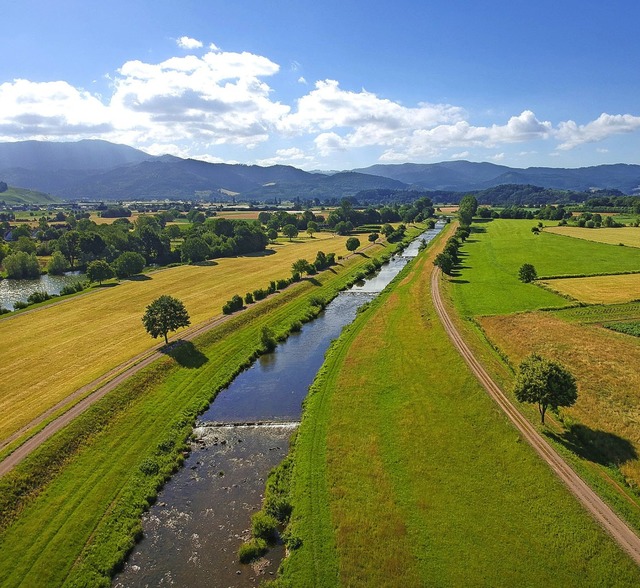 Eine umfassende Dammrckverlegung und ... ist der Baggersee bei Kollmarsreute.   | Foto: Dieter Ruf (Regierungsprsidium)