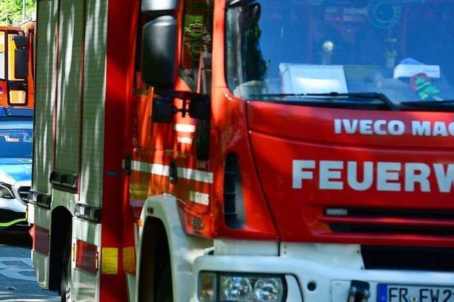 Brennender Busch in Merzhausen löst Feuerwehreinsatz aus