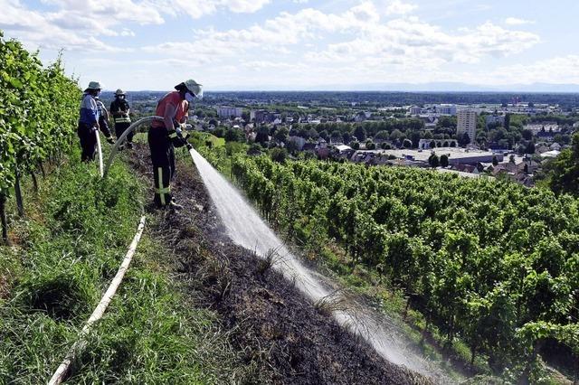 Feuerwehr lscht Flchenbrnde