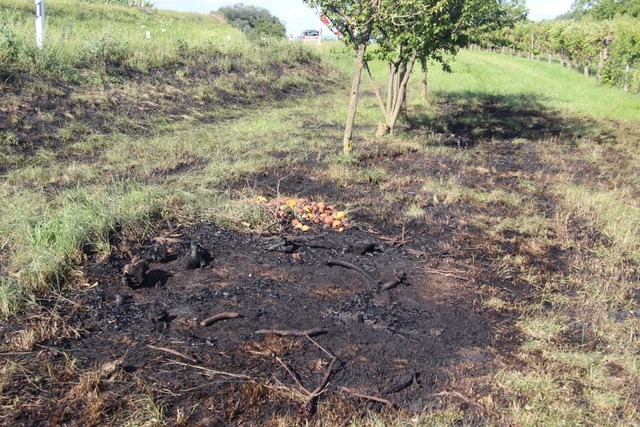 Der Brand konnte rasch gelscht werden.  | Foto: Horst David