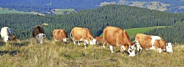 Unverzichtbar fr die Landschaftspfleg...altung zwischen Bauern und Gemeinden.   | Foto: Paul Berger