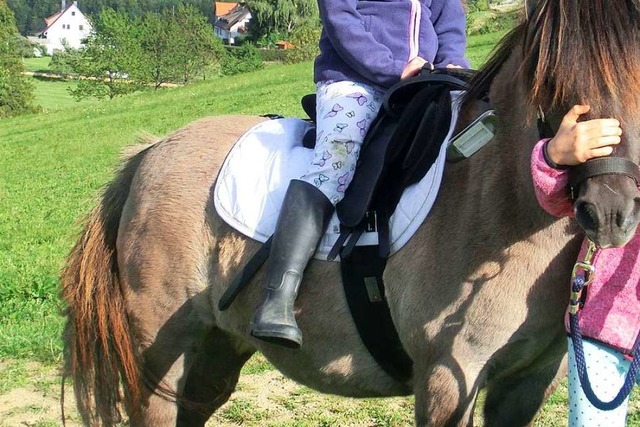 Der Urlaubsspa eines gefhrten Reitau...endete fr zwei Kinder im Krankenhaus.  | Foto: Promo