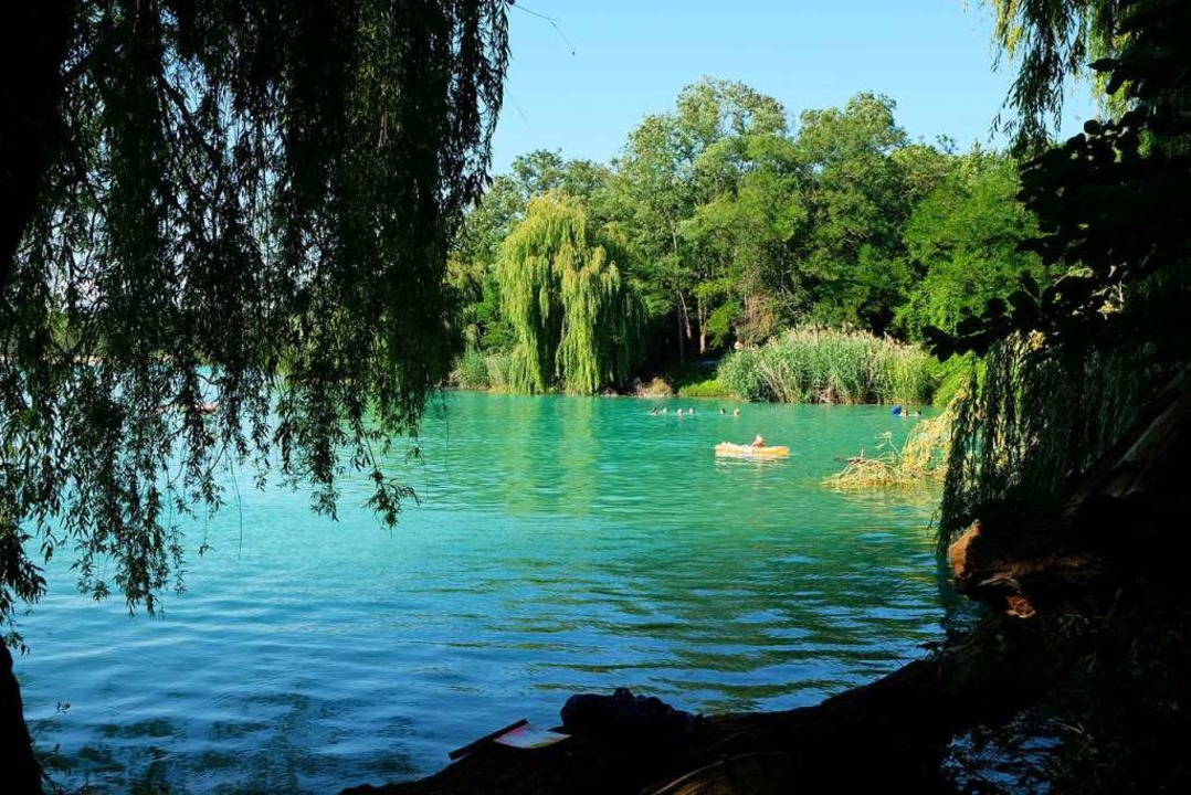 Am Niederrimsinger Baggersee herrscht friedliches Miteinander.  | Foto: Maria-Xenia Hardt