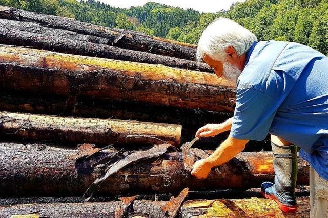 Der rger um die Holz-Nasslager im Wiesental wird immer grer