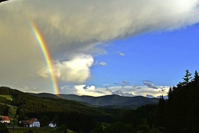 Nach Regen kommt Sonne