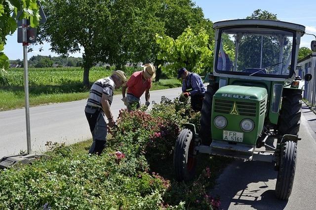 Arbeiten am Breitenweg