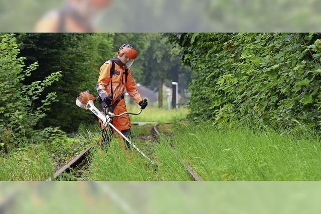 Stillgelegte Bahnstrecken wieder in Betrieb