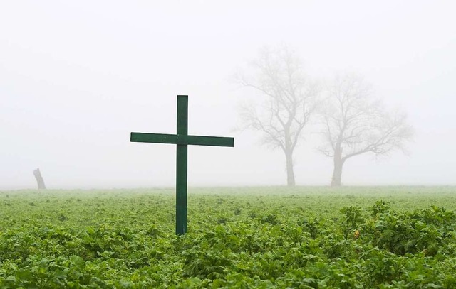 Ein grnes Kreuz wird zum Mahnmal der Landwirte.   | Foto: Julian Stratenschulte (dpa)