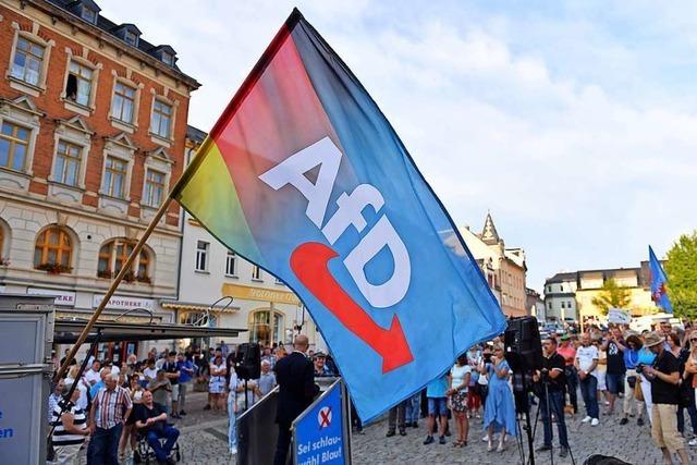 Immer mehr AfD-Mitglieder bieten Verfassungsschutz ihre Dienste an