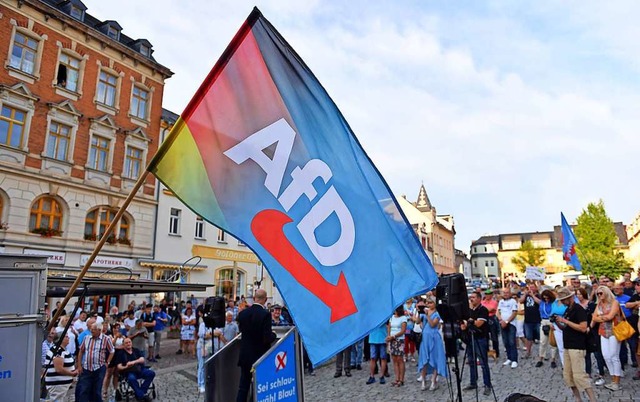 Eine Kundgebung der AfD in Brandenburg...r Beobachtung des Verfassungsschutzes.  | Foto: Hendrik Schmidt (dpa)