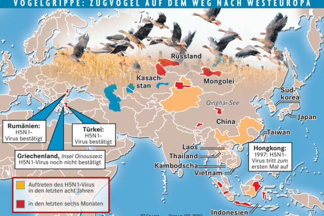 Europa bereitet sich auf die Vogelgrippe vor