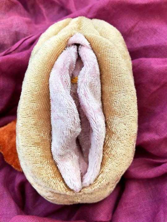 Plüschmodell einer Vulva &#8211; die G...rt allerdings immens von Frau zu Frau.  | Foto: Moraya  (stock.adobe.com)