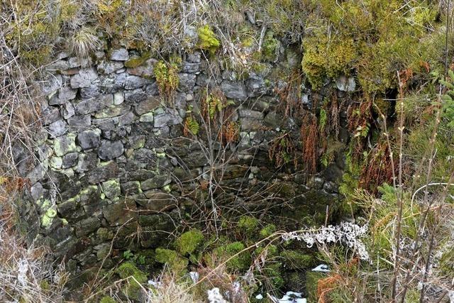 Als Wlfe in Gruben gefangen wurden