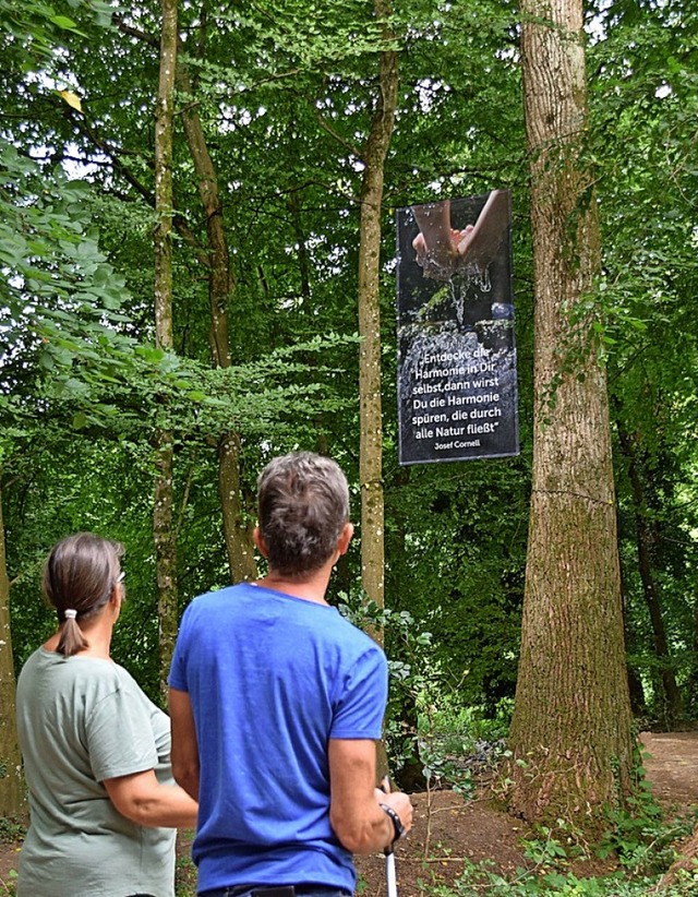 Sprche zum Nachdenken findet man im Denzlinger Wald.  | Foto: Helena Kiefer