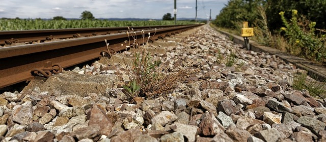 Die Kaiserstuhlbahn zwischen Riegel-Ma...mpfung von Bewuchs im Gleisbett geht.  | Foto: Martin Wendel