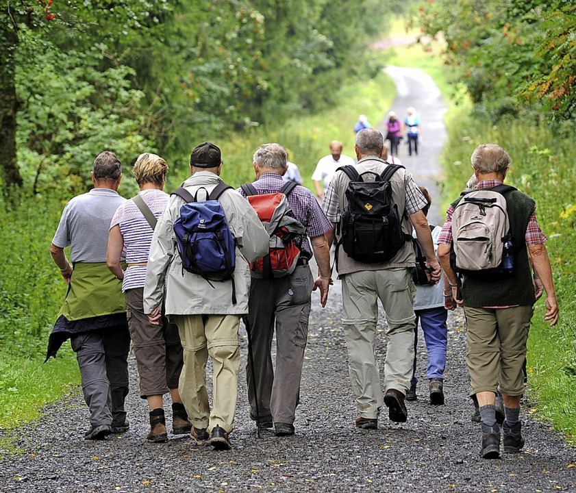 Die Wanderwege rund um Görwihl, wie et...bsteig, ziehen immer mehr Urlauber an.  | Foto: Uwe Zucchi (dpa)