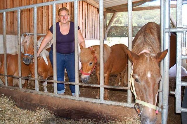 Die Ponys sind der ganze Stolz von Linda Bruckert