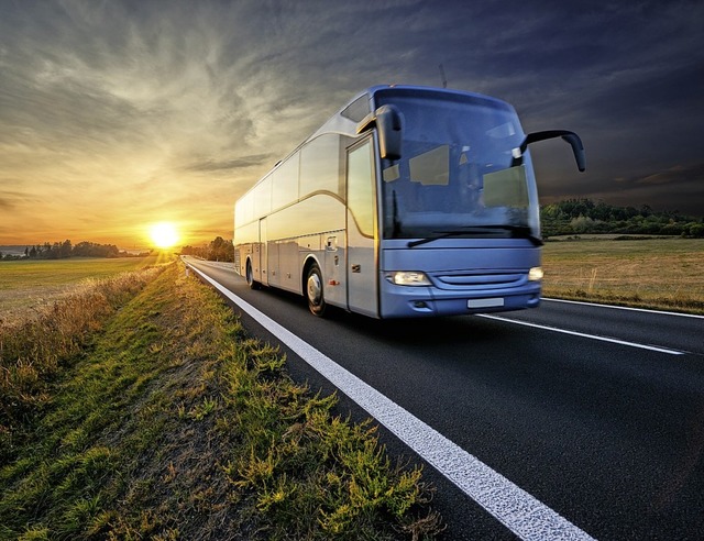 Reisen mit besonderen Regeln: Die Busse sind wieder unterwegs.  | Foto: Milos Muller  stock.adobe.com