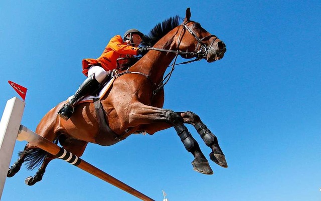 Ein Pferd in der Luft.   | Foto: Friso Gentsch