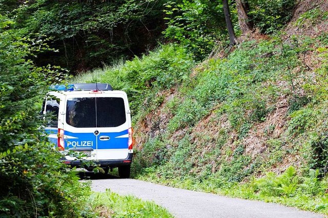 Die Polizei sucht weiter nach dem flc...ermutet, dass er sich im Wald aufhlt.  | Foto: Philipp von Ditfurth (dpa)