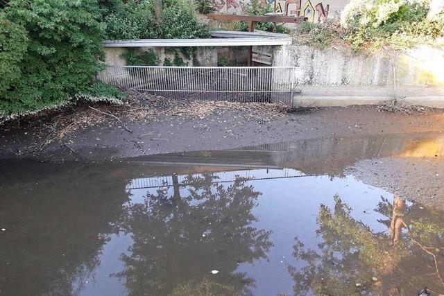 Landwirte drfen an der Kander kein Wasser mehr entnehmen