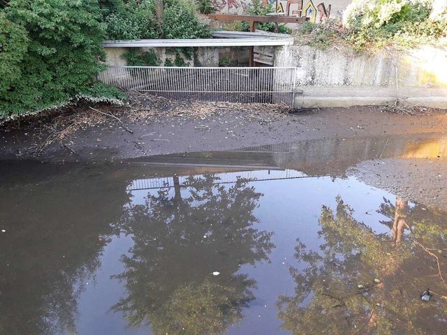 Deutlich zu sehen auf dem Bild der Gem...nnte, Aufstauen soll Abhilfe bringen.  | Foto: Gemeinde Eimeldingen