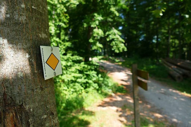 Am Wanderparkplatz an der  Schwrze f...usgeschilderte Wanderwege in den Wald.  | Foto: Sophia Hesser