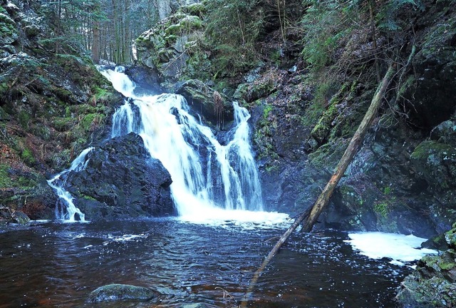 Der Wasserfall in Falkau soll im Jahr ...bar und Teil des Biberpfades werden.    | Foto: Susanne Gilg