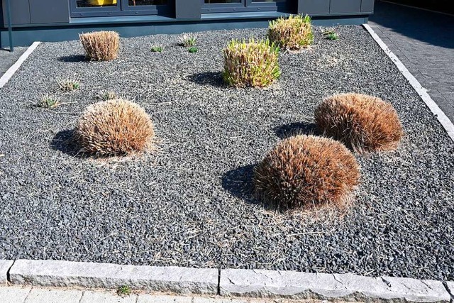 Solche Grten sollen in Lrrach knftig nicht mehr gebaut werden.  | Foto: Carmen Jaspersen