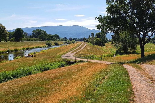 Blick von der Wassermer Brcke aus auf das Planungsgelnde.  | Foto: Gerhard Walser