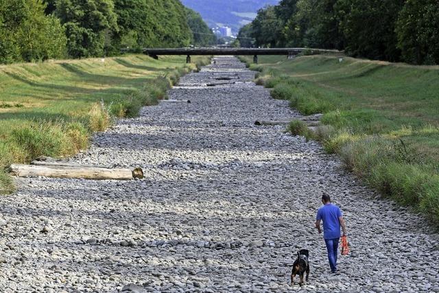 Landratsamt verbietet bei Trockenheit Wasserentnahme aus Flssen