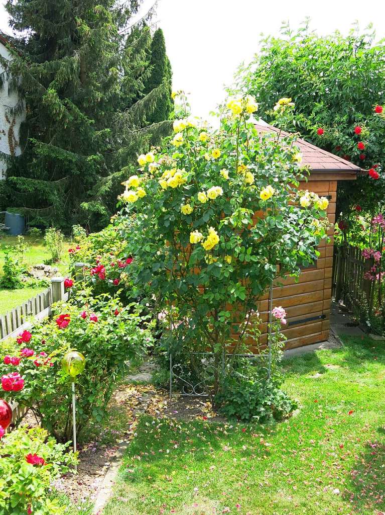 Blumen, Strucher, Bume, Gemse, Kruter und mehr gedeihen im Garten von Ingrid und Herbert Wehrle. Skulpturen, Brunnen, Natursteinmauern, Insektenhotel und Sitzgruppen ergnzen die blhende Oase.