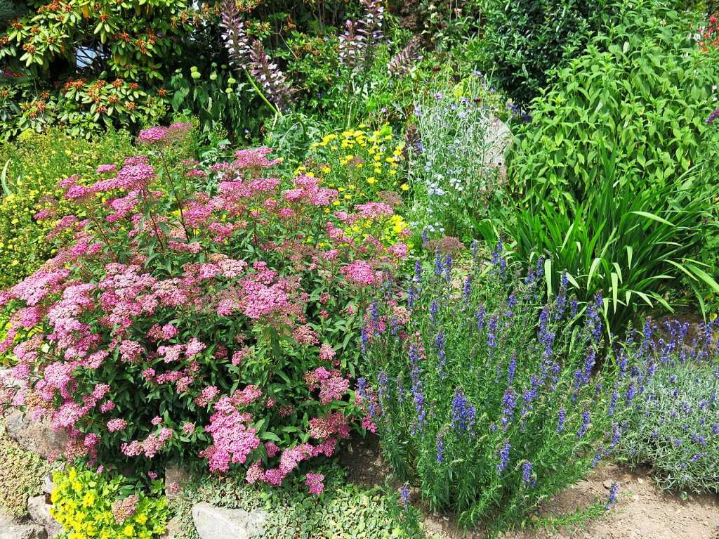 Blumen, Strucher, Bume, Gemse, Kruter und mehr gedeihen im Garten von Ingrid und Herbert Wehrle. Skulpturen, Brunnen, Natursteinmauern, Insektenhotel und Sitzgruppen ergnzen die blhende Oase.