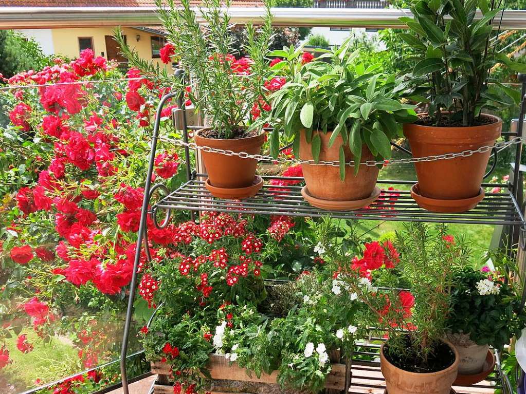 Blumen, Strucher, Bume, Gemse, Kruter und mehr gedeihen im Garten von Ingrid und Herbert Wehrle. Skulpturen, Brunnen, Natursteinmauern, Insektenhotel und Sitzgruppen ergnzen die blhende Oase.