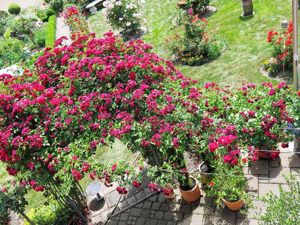 Blumen, Strucher, Bume, Gemse, Kruter und mehr gedeihen im Garten von Ingrid und Herbert Wehrle. Skulpturen, Brunnen, Natursteinmauern, Insektenhotel und Sitzgruppen ergnzen die blhende Oase.